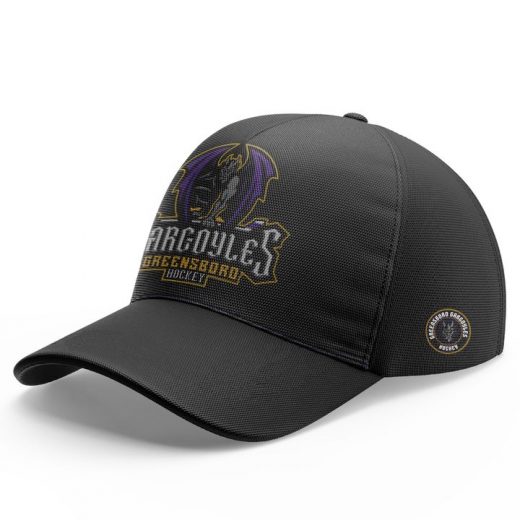 Greensboro Gargoyles Stone to Storm 2025 Hoodie Set